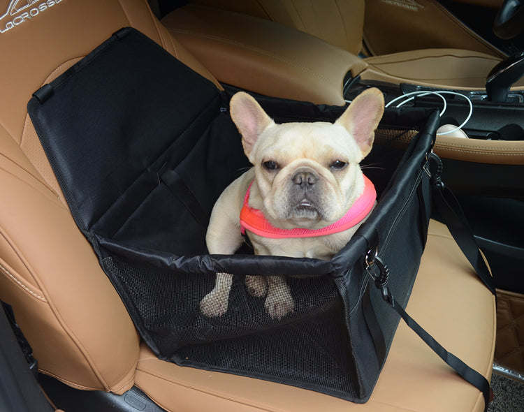 Dog Carrier For Small Dogs