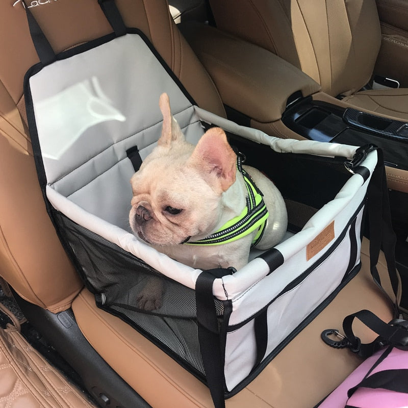 Dog Carrier For Small Dogs