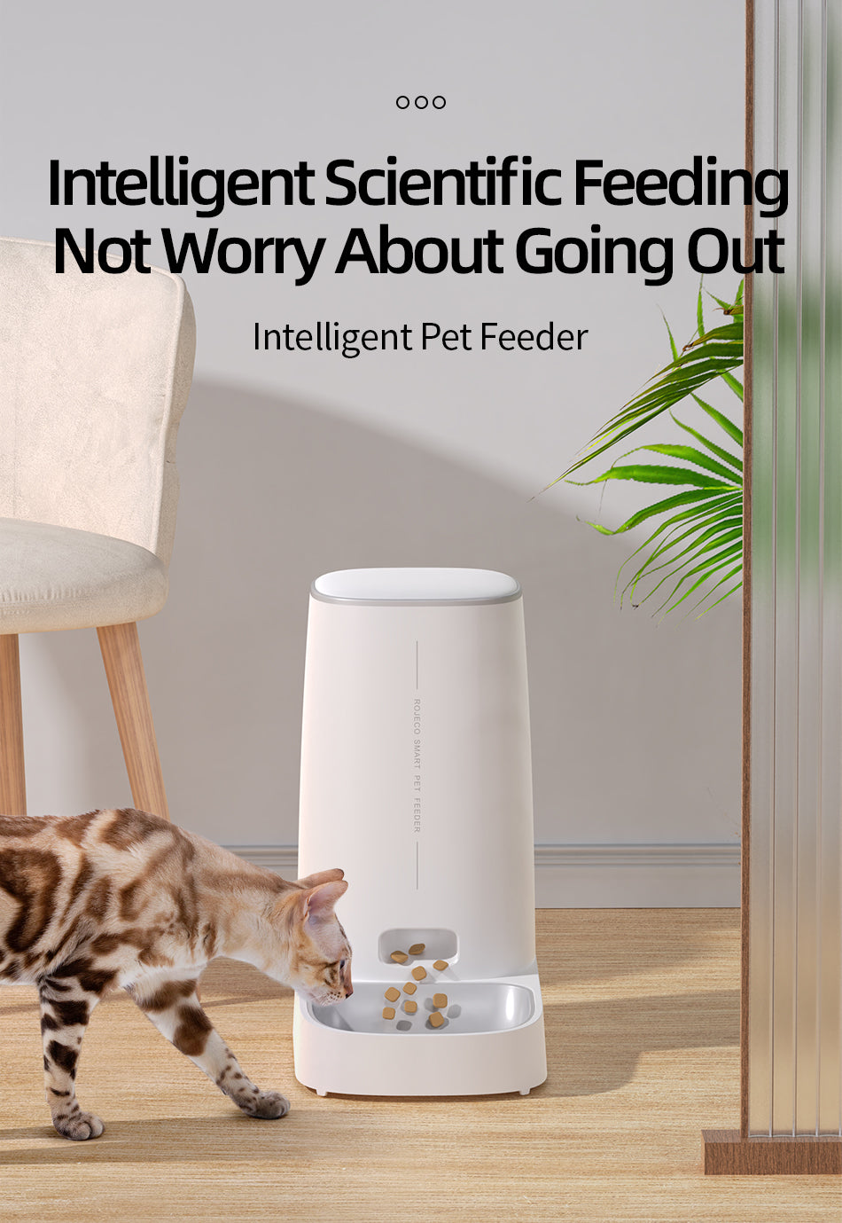 Automatic pets Feeder